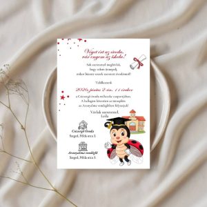 Egyedi katicás óvodai ballagási meghívó elegáns környezetben, szárazvirággal díszítve.