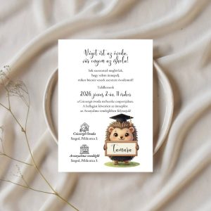 Ballagó sapkás süni illusztráció névtáblával egy óvodai ballagási meghívón.